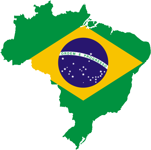 Verslo misija į Braziliją 2013